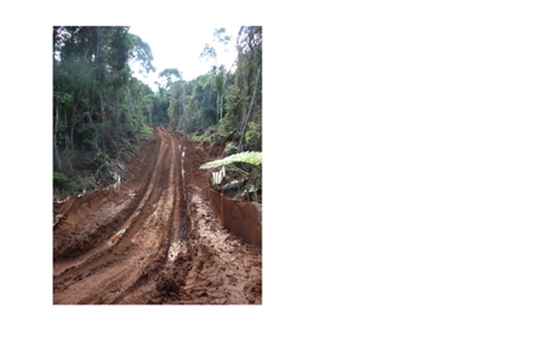 Mining road, Madagadacar  CREDIT Ray Victurine